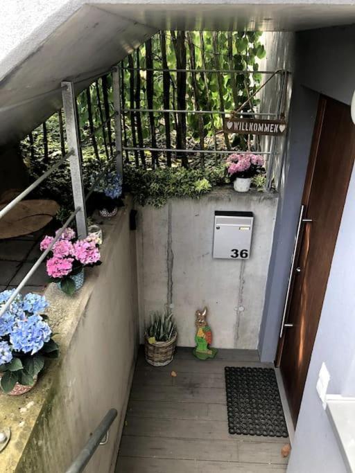 Wohnung In Gehobener Lage Брухзаль Экстерьер фото